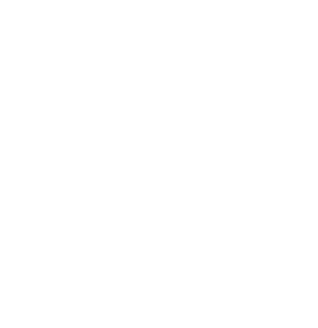 Brick Delivery